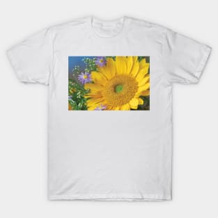 Common Sunflower And Asters North America I T-Shirt